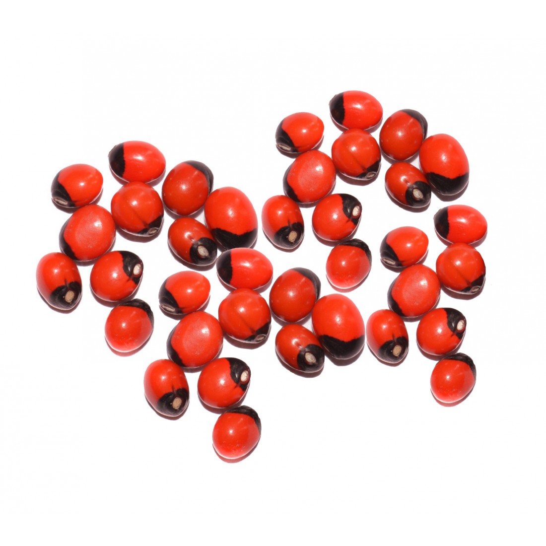 Gunja Seeds: The Hidden Ayurvedic Treasure for Healing & Fortune