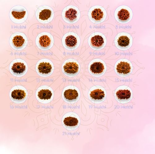 Free Rudraksha Recommendation
